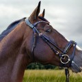 Bridle IO.jpg